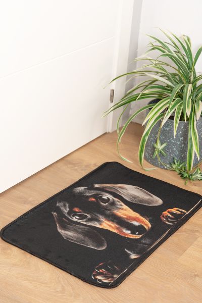 Tapis Eril
