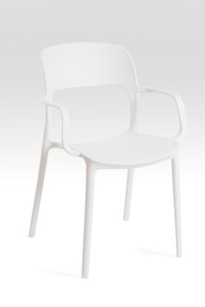Chaise Inis Accoudoir - Une chaise parfaite pour votre jardin